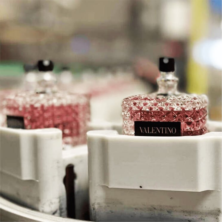 BOTTLES REBORN